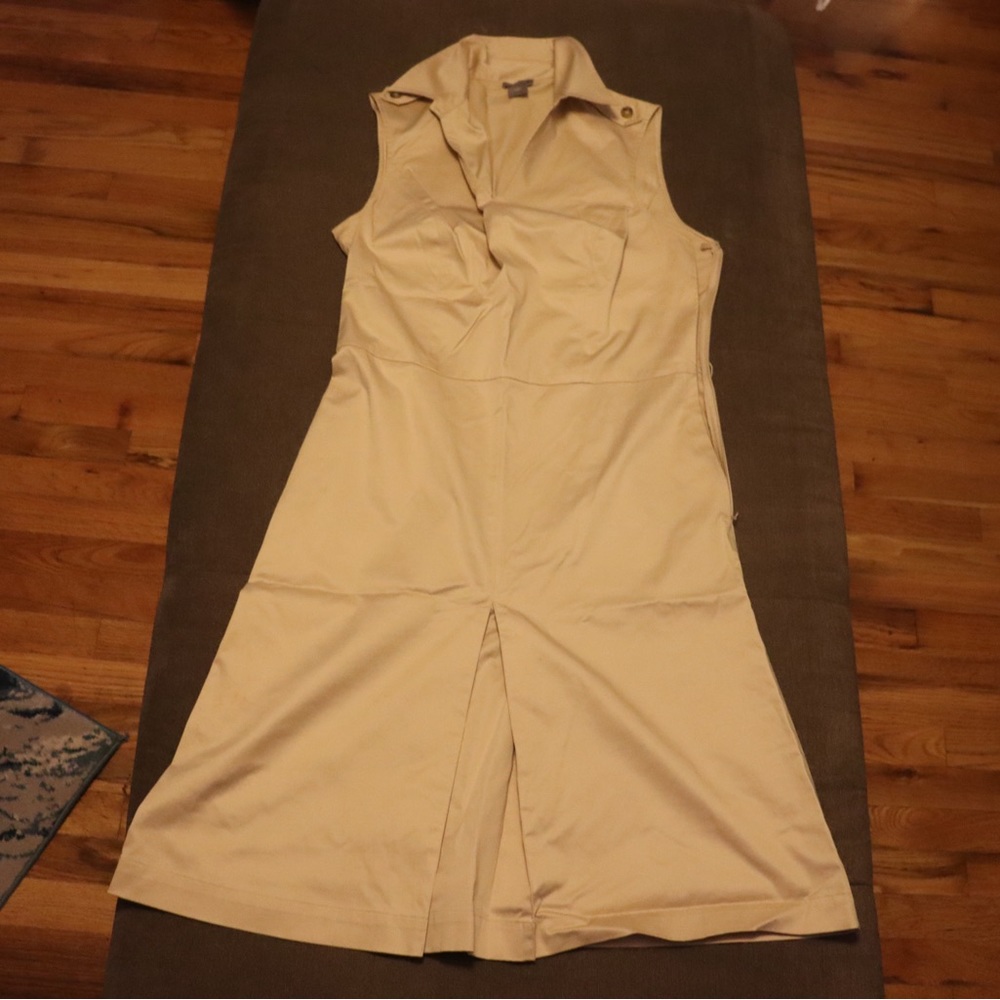 Ann Taylor dress